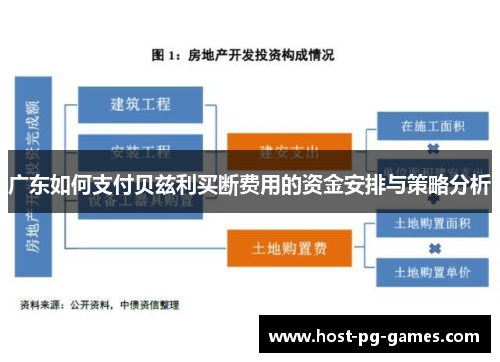 广东如何支付贝兹利买断费用的资金安排与策略分析