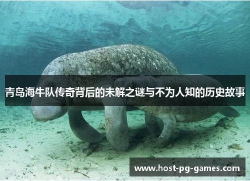 青岛海牛队传奇背后的未解之谜与不为人知的历史故事