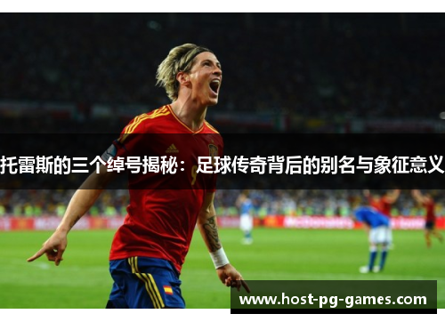 托雷斯的三个绰号揭秘:足球传奇背后的别名与象征意义 托雷斯的三个绰号揭秘:足球传奇背后的别名与象征意义